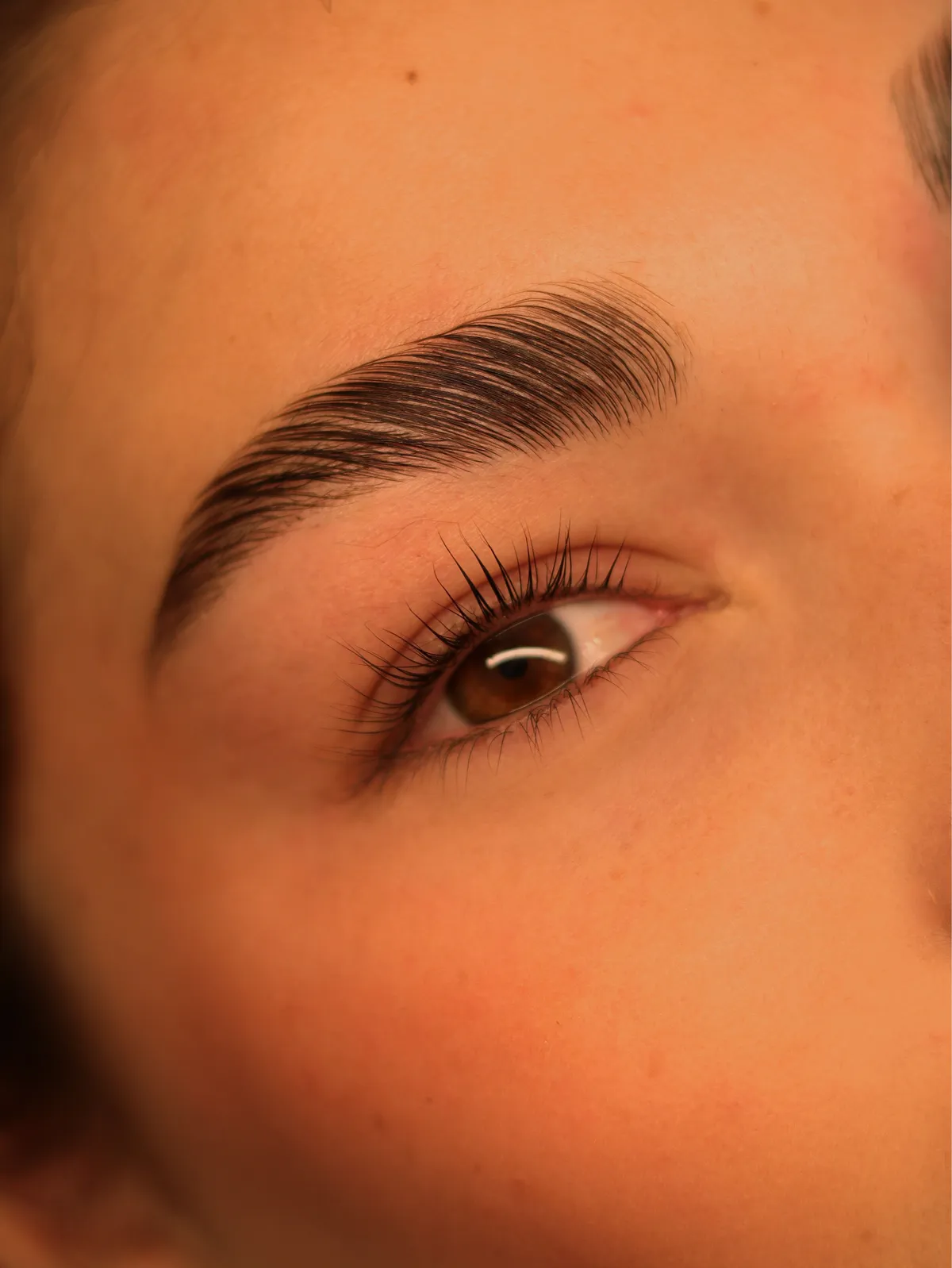 Detalle de cejas y pestañas perfiladas